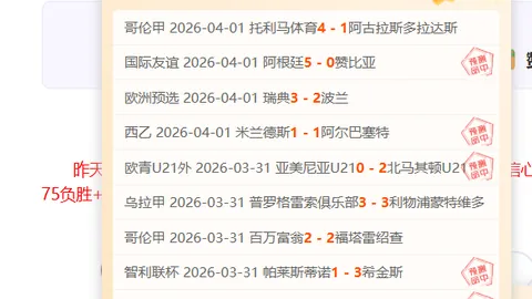 范德贝尔特左膝积液恢复中，预计明年一月初重返赛场——Shams报道